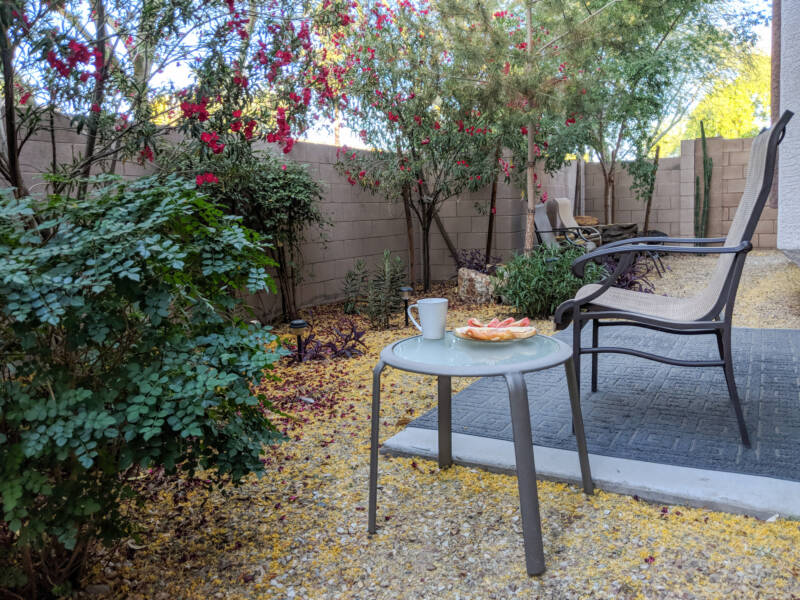 An outdoor chair and table in a garden.