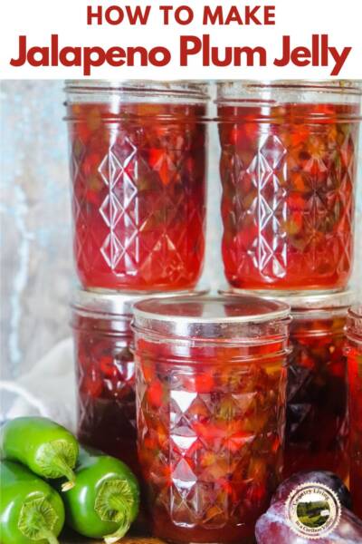 Jalapeno Plum Jelly in half pint jars on the counter