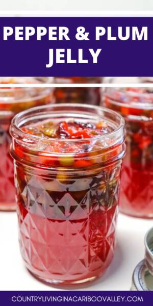 Pepper and Plum Jelly in unsealed mason jars.